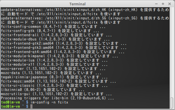 linux mint japanese input 6