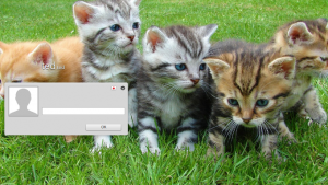 Linux Mintのログイン画面を好きな画像に変更して上機嫌になる方法